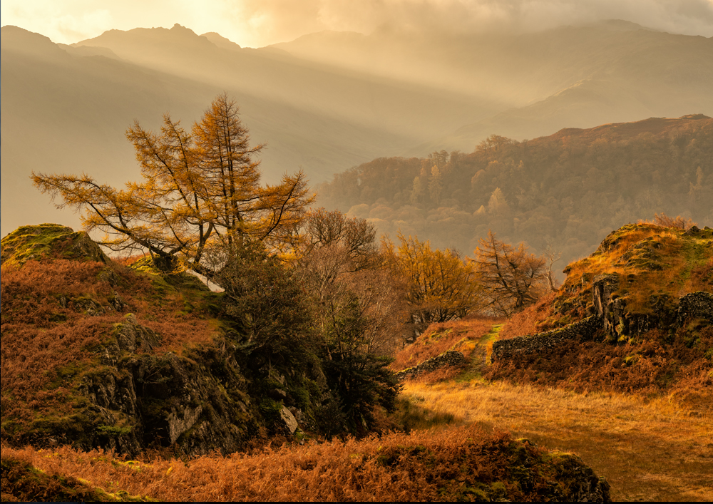 Morning Crepuscular rays over a beautiful autumnal Borrowdale Valley in the Lake District, UK