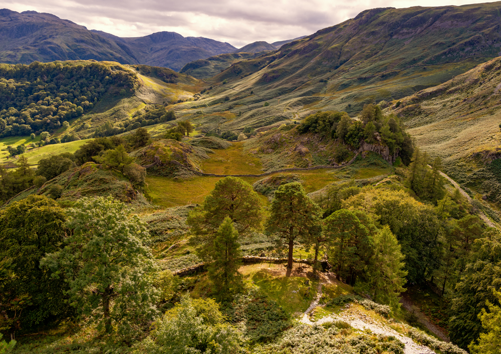 Photo looking into beautiful Borrowdale Valley from Castle Crag, Lake District. UK