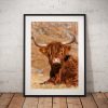 Northern Wild Landscape Photography - Cute Highland Cow Scottish highlands, Scotland UK