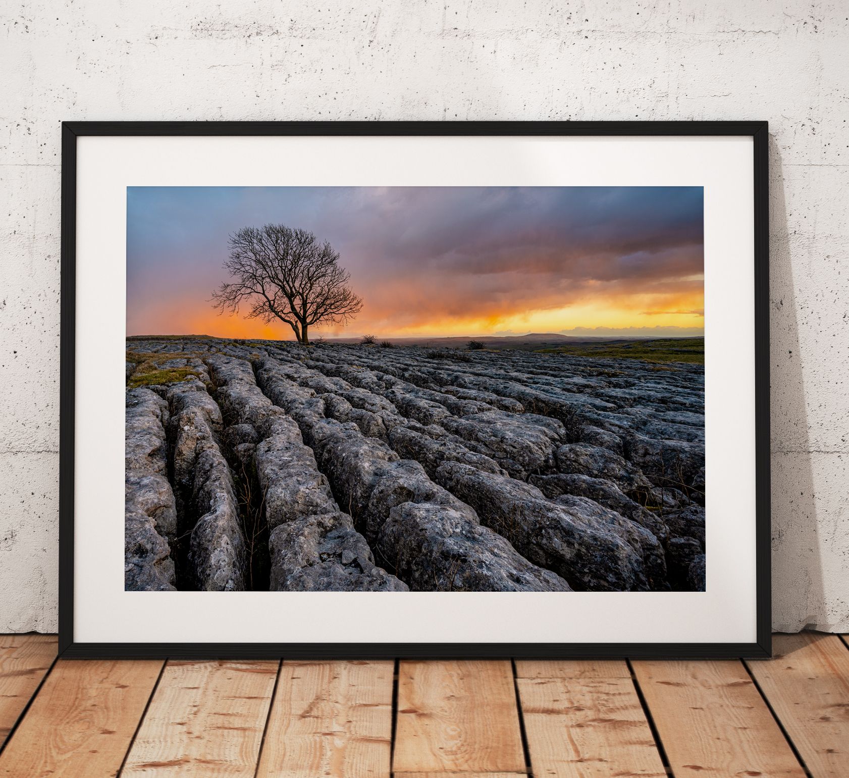 Beautiful photo of a Lone tree at Malham on the limestone pavement during sunset in the Yorkshire Dales. England