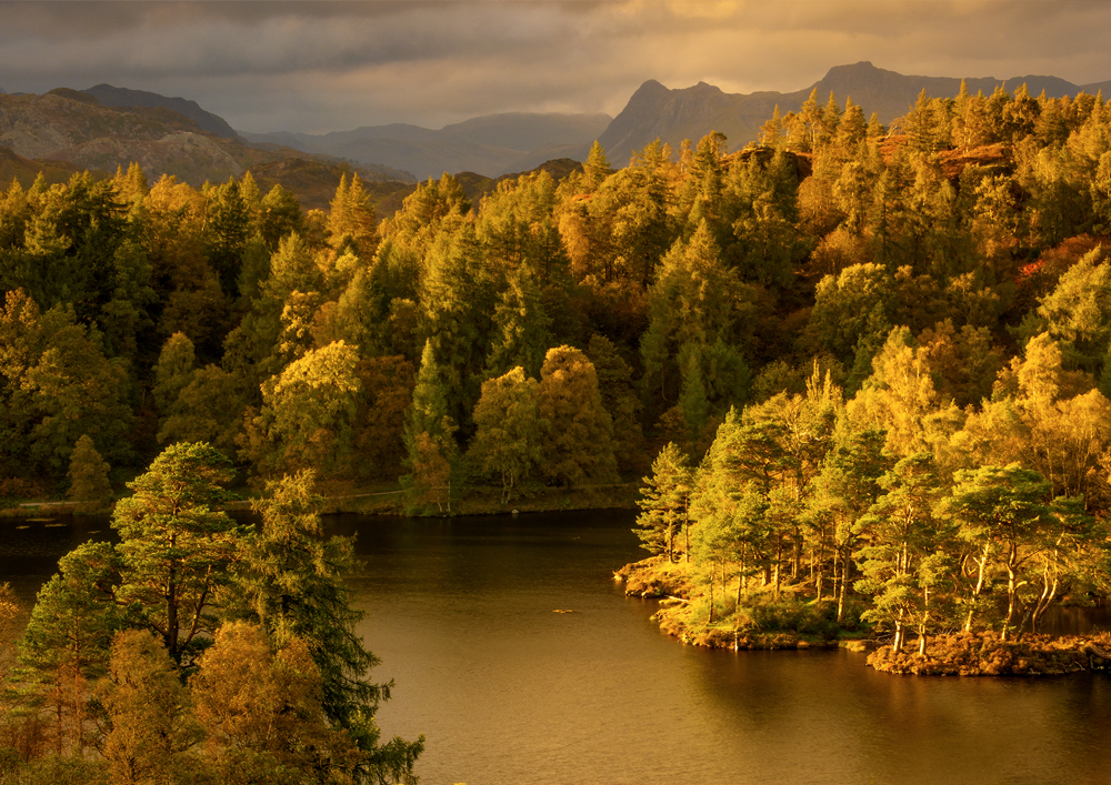 Tarn Howes autumnal view