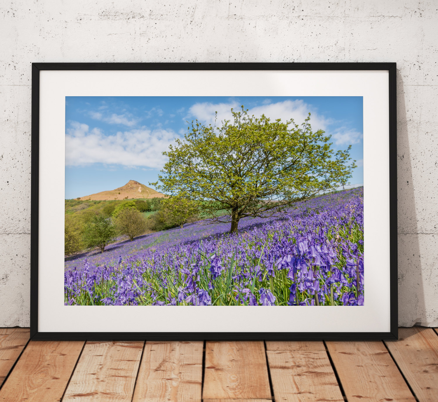 Bluebell tree landscape Photography. wildflowers, Spring,  Tree, North York Moors, England. Landscape Photography. Mounted print. Wall Art.