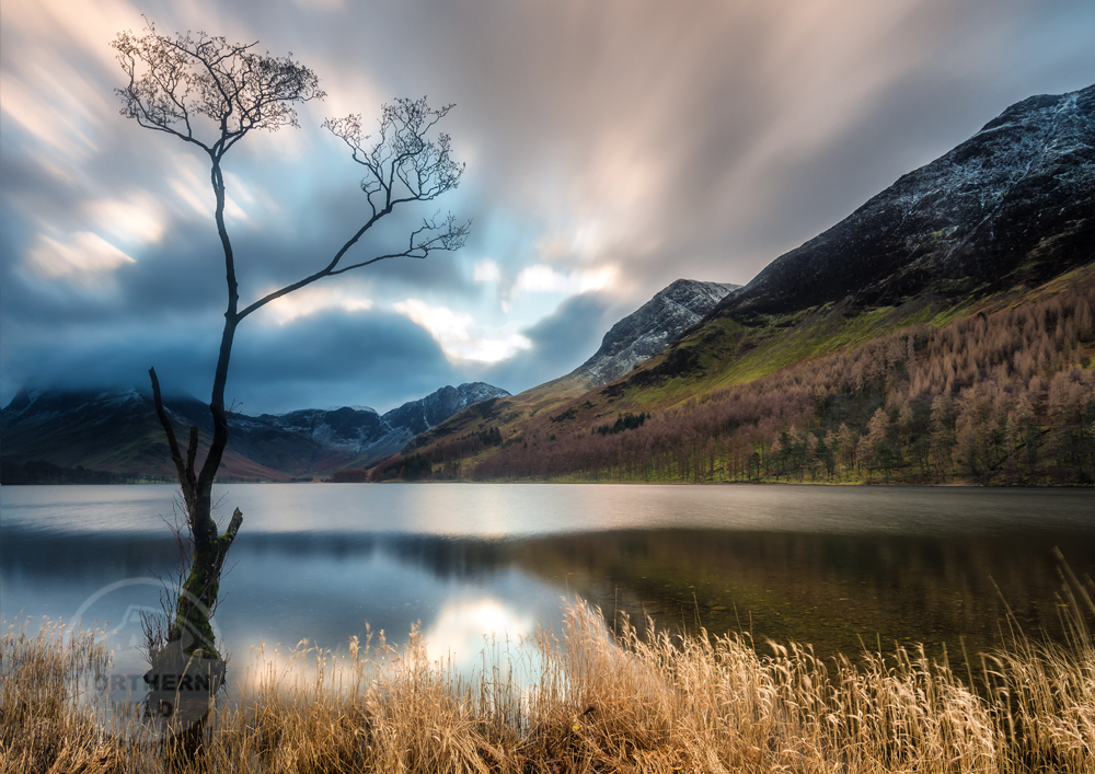 Lake District Landscape Photography, Buttermere tree, mountains, Cumbria, England. Landscape Photo. Mounted print. Wall Art.