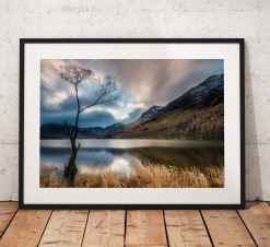 Lake District Landscape Photography, Buttermere tree, mountains, Cumbria, England. Landscape Photo. Mounted print. Wall Art.