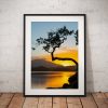 Lake District Landscape Photography showing a sunrise at a lone tree at Otterbield Bay on Derwentwater, Lake District UK. Wall Art print