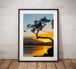 Lake District Landscape Photography showing a sunrise at a lone tree at Otterbield Bay on Derwentwater, Lake District UK. Wall Art print