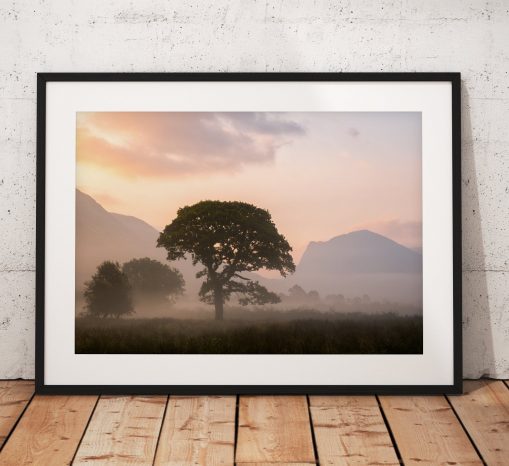 Lake District Landscape Photography showing a very atmospheric misty tree during a sunrise at Crummock water with haystacks mountain. UK