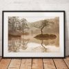 Northern Wild Landscape Photography - Lone Tree Lake District Landscape Photography taken on a misty morning at Rydal, England. Wall Art