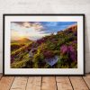 Landscape photography print Roseberry Topping Sunset Heather wild flower North York Moors English countryside mounted fine art print