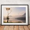 Northern Wild landscape Photography - Lone tree on Buttermere during a very atmospheric misty morning, Lake District UK