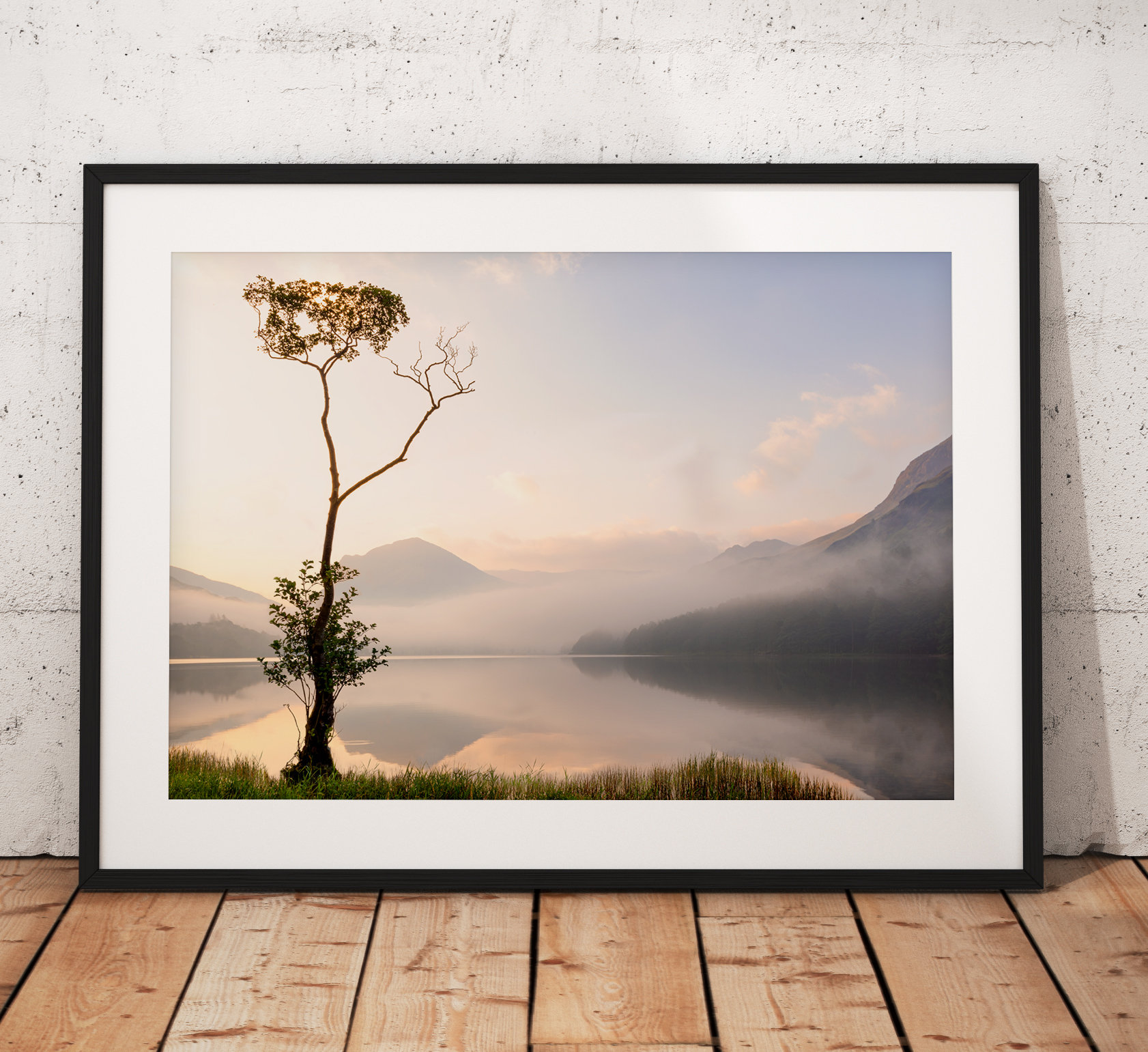 Northern Wild landscape Photography - Lone tree on Buttermere during a very atmospheric misty morning, Lake District UK