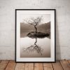 Northern Wild Landscape Photography - Lone Tree Landscape Photography taken on a misty morning at Rydal Lake District, England. Wall Art