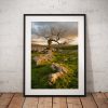 Photograph of a dramatic Lone tree on Limestone pavement showing the warm sunrise glow in the Yorkshire Dales. England, Fine Art, Home Decor