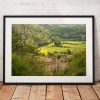 Rievaulx Abbey photograph taken looking through the woodland. North York Moors, History England. Landscape Photo. Mounted print. Wall Art.