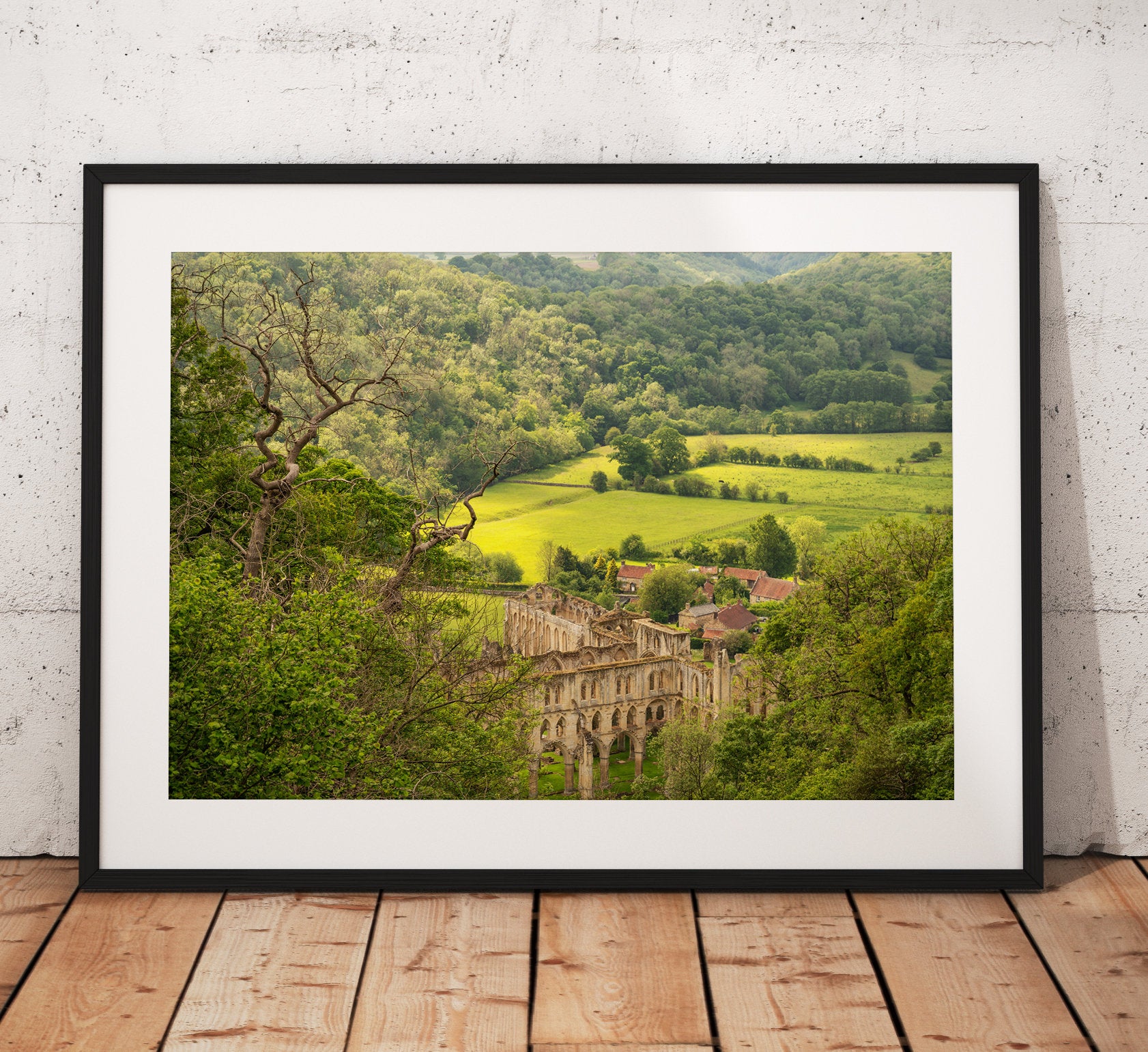 Rievaulx Abbey photograph taken looking through the woodland. North York Moors, History England. Landscape Photo. Mounted print. Wall Art.