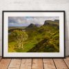 Scotland Landscape photography, Isle of Skye, Quiraing, Highlands, Scottish, Mountain, Tree, Nature, Countryside, Summer,  Wall Art