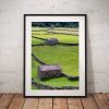 Yorkshire Dales Photography, Three Barns, stone wall, Fields, England.  Photo. Mounted print. Wall Art. Home Decor